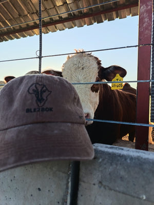 Blezbok Cap